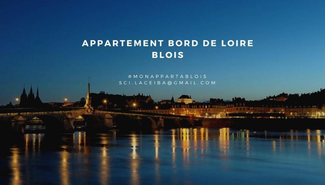 Appartamento Duplex 60 M2 Bord De Loire Blois Esterno foto