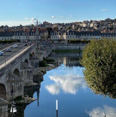 Appartamento Duplex 60 M2 Bord De Loire Blois Esterno foto