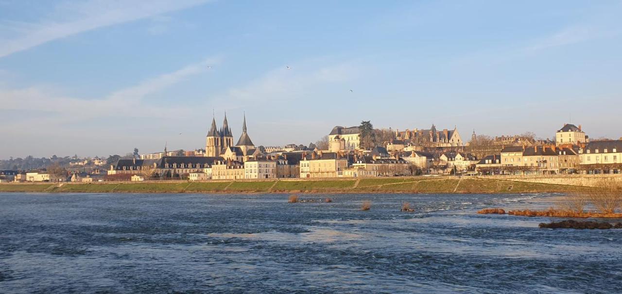 Appartamento Duplex 60 M2 Bord De Loire Blois Esterno foto