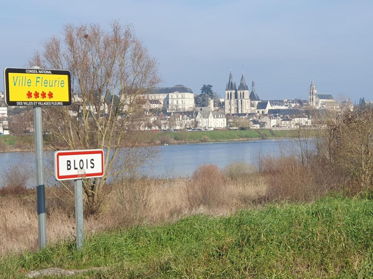 Appartamento Duplex 60 M2 Bord De Loire Blois Esterno foto