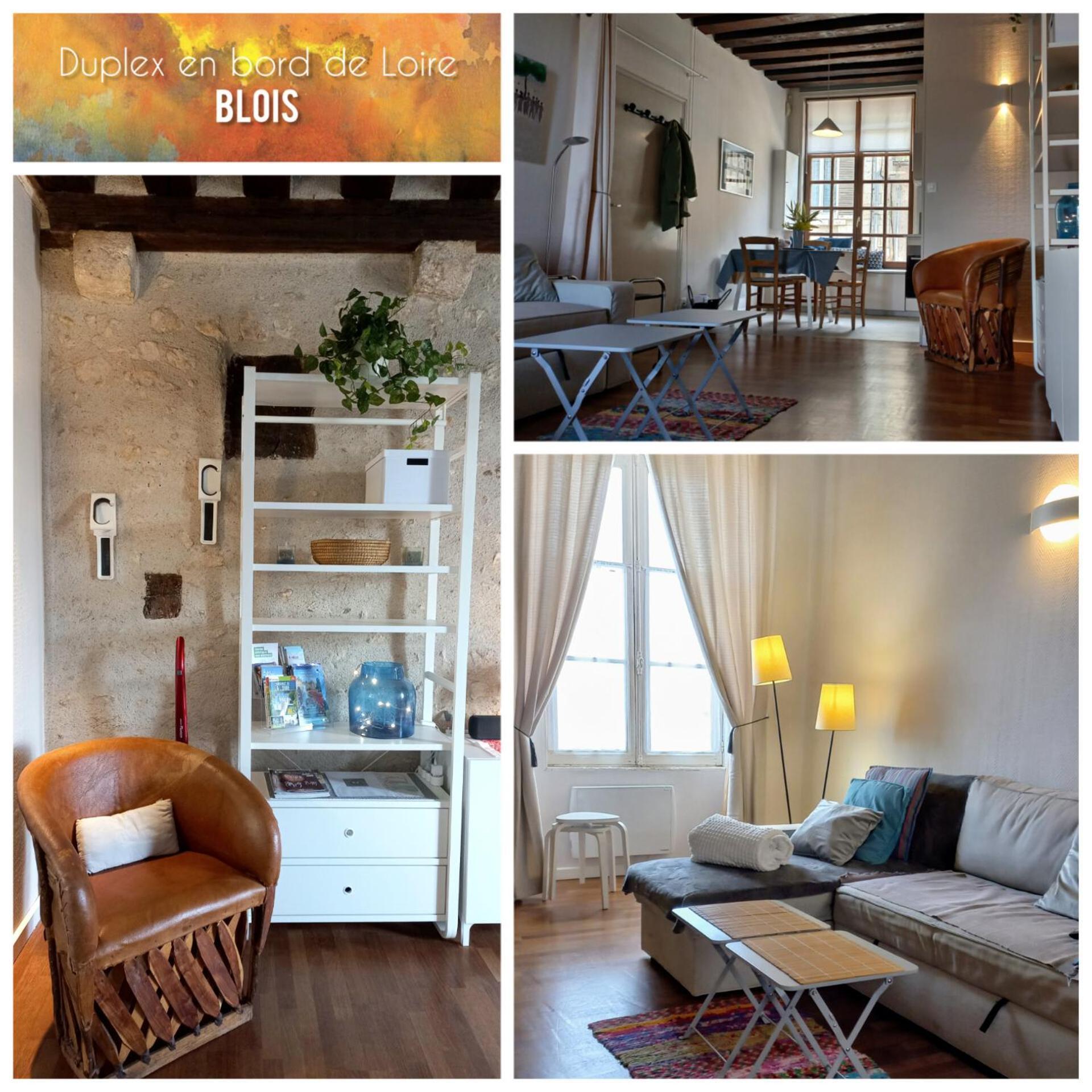 Appartamento Duplex 60 M2 Bord De Loire Blois Esterno foto